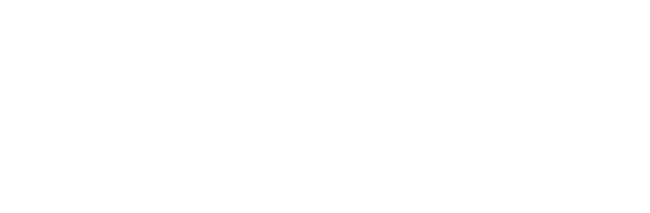 logo_2dm